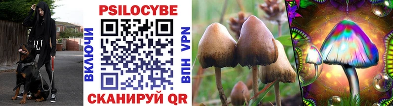 где продают omg вход Псилоцибиновые грибы Psilocybine cubensis Усть-Илимск